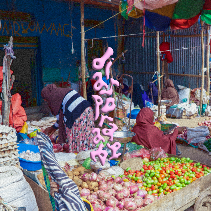 Diasporaaaa w/ Idil & Shukri