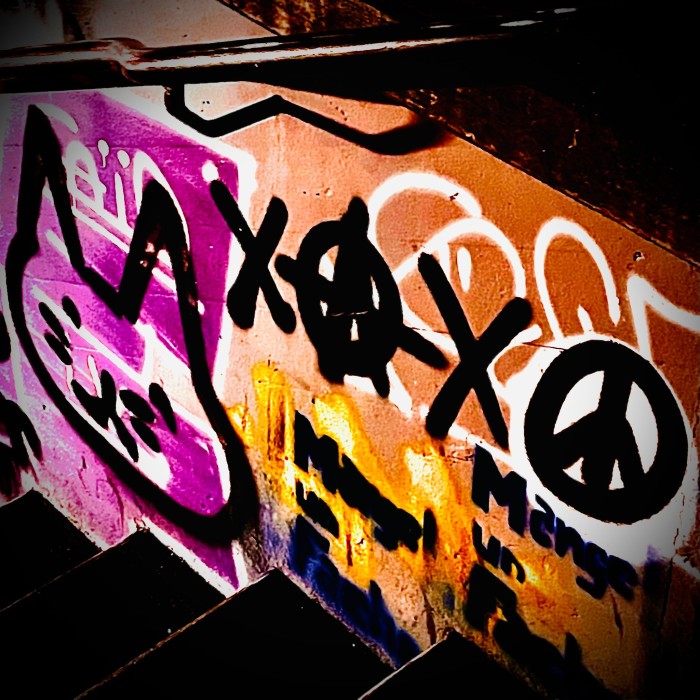 Feelings are so high, what can I do w/ Dj Dnasty