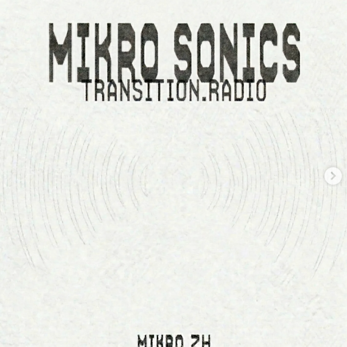 MIKRO SONICS w/ Jamira Estrada